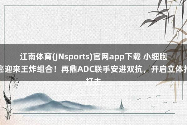 江南体育(JNsports)官网app下载 小细胞肺癌迎来王炸组合！再鼎ADC联手安进双抗，开启立体打击