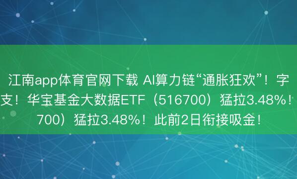 江南app体育官网下载 AI算力链“通胀狂欢”!字节增多25%老本开支!华宝基金大数据ETF(516700)猛拉3.48%!此前2日衔接吸金!