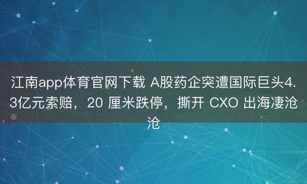 江南app体育官网下载 A股药企突遭国际巨头4.3亿元索赔,20 厘米跌停,撕开 CXO 出海凄沧