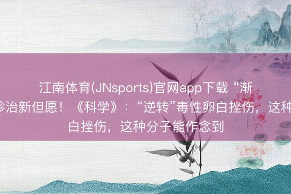 江南体育(JNsports)官网app下载 “渐冻症”或迎来诊治新但愿!《科学》:“逆转”毒性卵白挫伤,这种分子能作念到