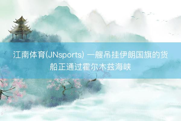 江南体育(JNsports) 一艘吊挂伊朗国旗的货船正通过霍尔木兹海峡