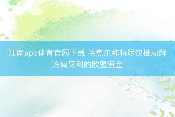 江南app体育官网下载 毛焦尔称将尽快推动解冻匈牙利的欧盟资金